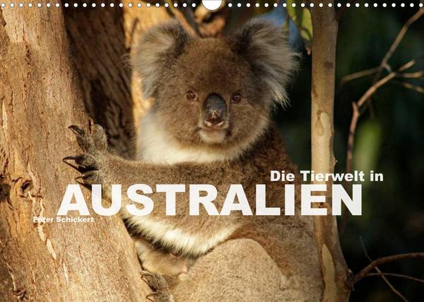 Die Tierwelt in Australien (Wandkalender 2023 DIN A3 quer)