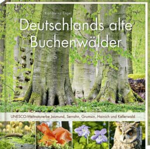 Deutschlands alte Buchenwälder