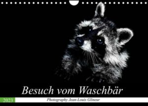 Besuch vom Waschbär (Wandkalender 2023 DIN A4 quer)