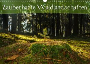 Zauberhafte Waldlandschaften (Wandkalender 2023 DIN A3 quer)