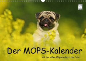 Der MOPS-Kalender (Wandkalender 2023 DIN A3 quer)