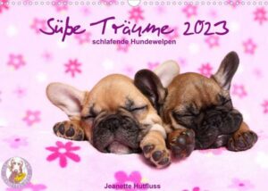 Süße Träume 2023 - schlafende Hundewelpen (Wandkalender 2023 DIN A3 quer)