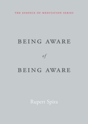 Being Aware of Being Aware