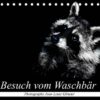 Besuch vom Waschbär (Tischkalender 2023 DIN A5 quer)