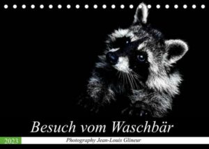 Besuch vom Waschbär (Tischkalender 2023 DIN A5 quer)