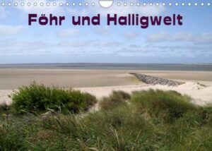 Föhr und Halligwelt 2023 (Wandkalender 2023 DIN A4 quer)