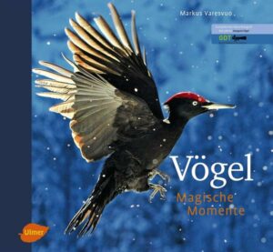 Vögel - Magische Momente