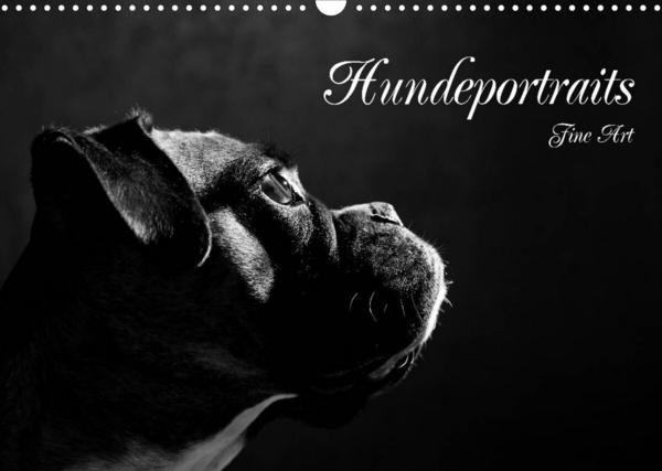 Hundeportraits Fine Art (Wandkalender 2023 DIN A3 quer)