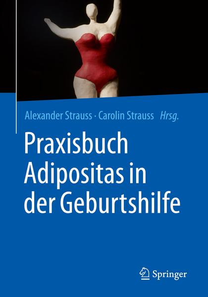 Praxisbuch Adipositas in der Geburtshilfe