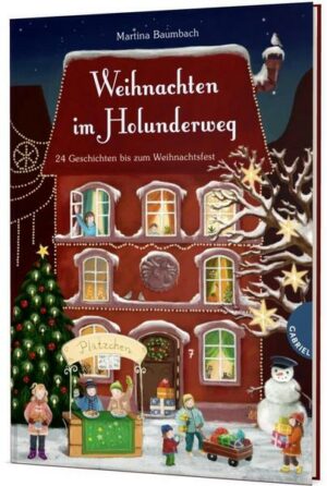 Weihnachten im Holunderweg / Holunderweg Bd.2