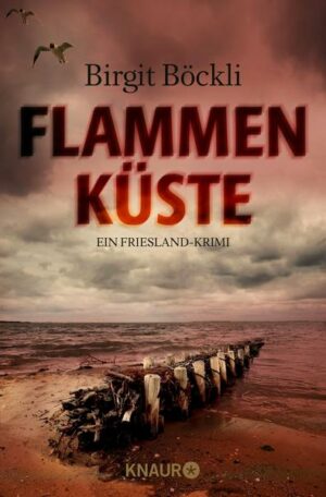 Flammenküste / Friesland-Krimi Bd.2