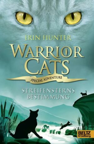 Streifensterns Bestimmung / Warrior Cats - Special Adventure Bd.4