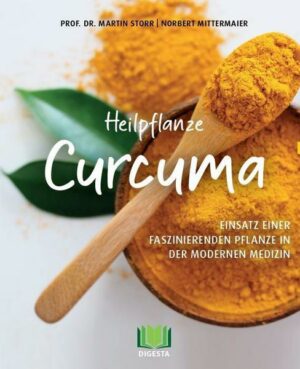 Heilpflanze Curcuma