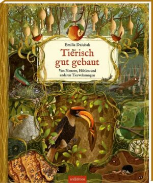 Tierisch gut gebaut – Von Nestern