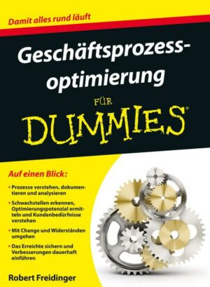 Geschäftsprozessoptimierung für Dummies