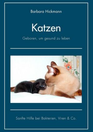 Katzen - geboren