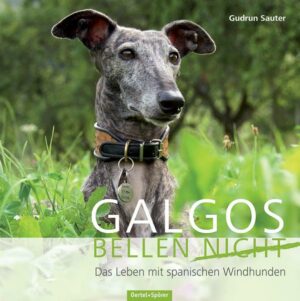 Galgos bellen nicht