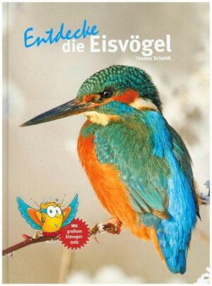 Entdecke die Eisvögel