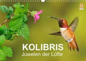 Kolibris - Juwelen der Lüfte (Wandkalender 2023 DIN A3 quer)