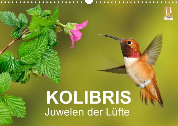 Kolibris - Juwelen der Lüfte (Wandkalender 2023 DIN A3 quer)