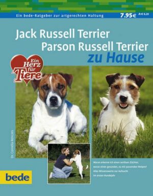 Jack Russell Terrier - Parson Russell Terrier zu Hause