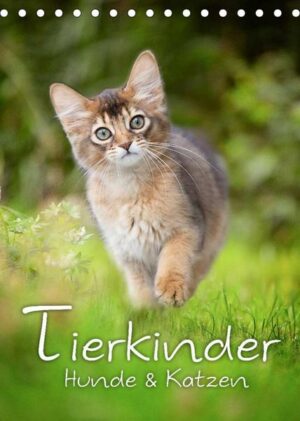 Tierkinder Hunde und Katzen (Tischkalender 2023 DIN A5 hoch)