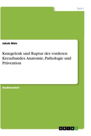 Kniegelenk und Ruptur des vorderen Kreuzbandes. Anatomie