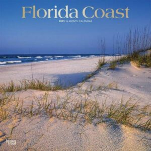 Florida Coast 2023 Square Foil