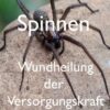 Spinnen - Wundheilung der Versorgungskraft