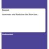 Anatomie und Funktion der Knochen