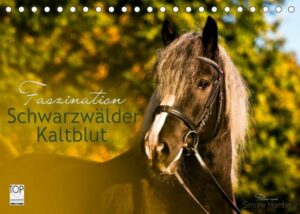 Faszination Schwarzwälder Kaltblut (Tischkalender 2023 DIN A5 quer)