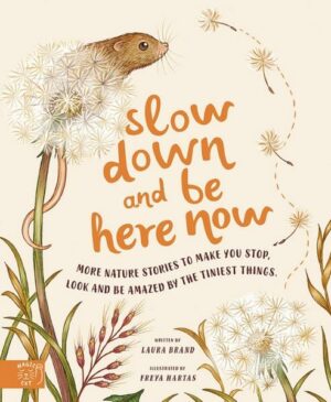 Slow Down and Be Here Now