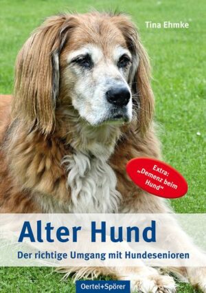 Alter Hund