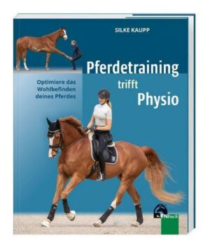 Pferdetraining trifft Physio