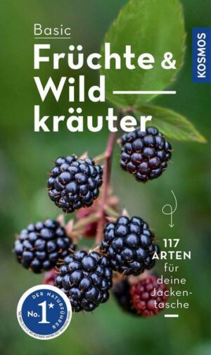 BASIC Früchte und Wildkräuter