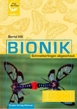 Bionik – Schmetterlingen abgeschaut