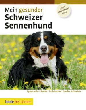 Mein gesunder Schweizer Sennenhund