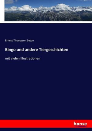 Bingo und andere Tiergeschichten