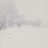 Zwei weitere Winter