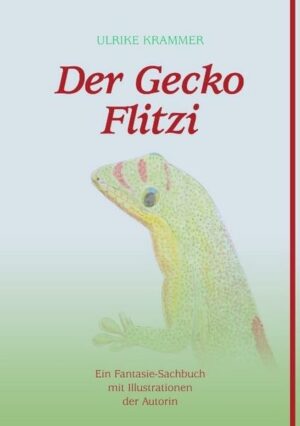 Der Gecko Flitzi