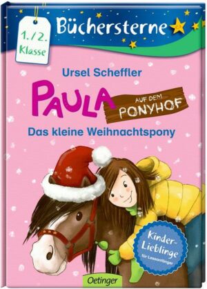 Das kleine Weihnachtspony / Paula auf dem Ponyhof Bd.4