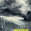 Roter Affe