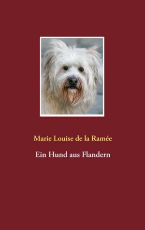 Ein Hund aus Flandern