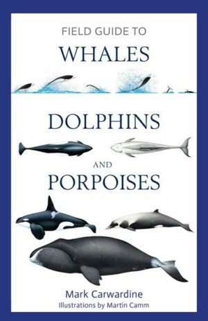 Field Guide to Whales