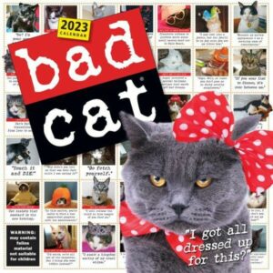 Bad Cat Wall Calendar 2023