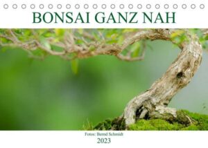 Bonsai ganz nah (Tischkalender 2023 DIN A5 quer)