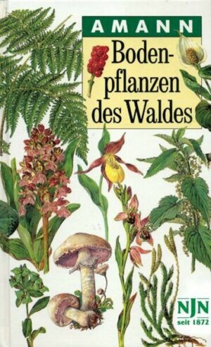 Bodenpflanzen des Waldes