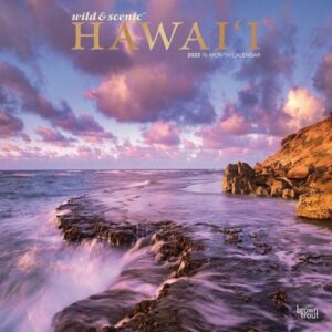 Hawaii Wild & Scenic 2023 Square Foil