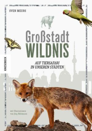 Großstadt Wildnis