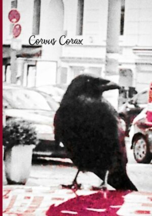 Corvus Corax